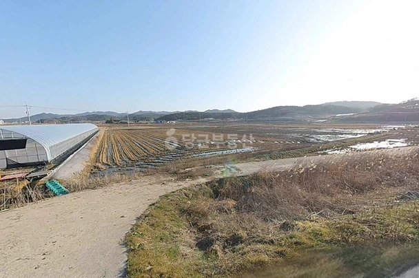 전남광주통합특별시 무안군 삼향읍 토지 사진 1
