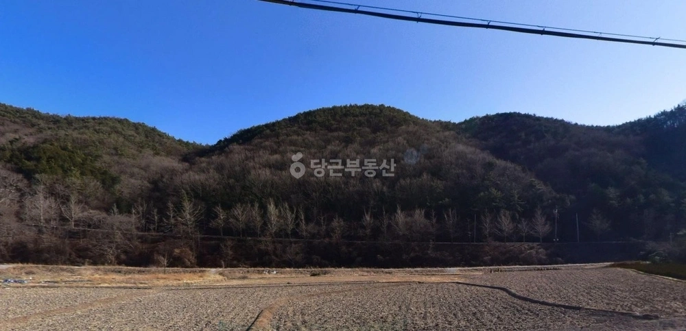 경상남도 창원시 마산합포구 진동면 토지 사진 1