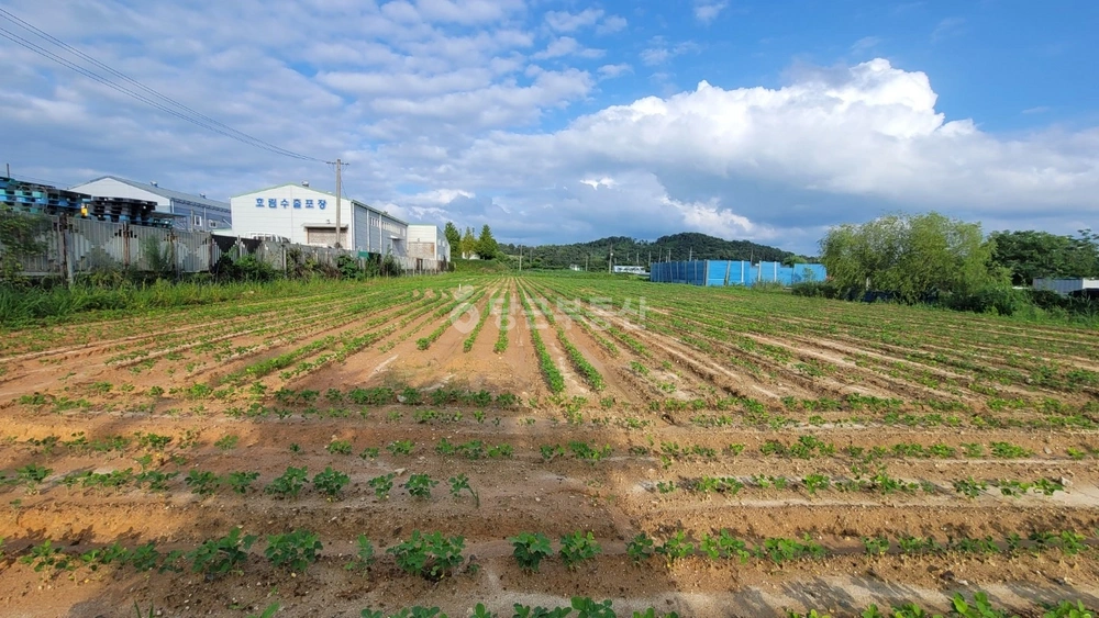 전남광주통합특별시 장성군 진원면 토지 사진 1