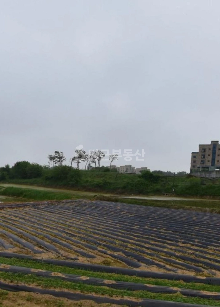 경기도 평택시 포승읍 토지 사진 1