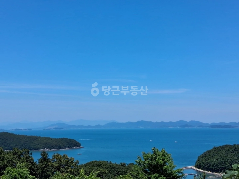 전남광주통합특별시 고흥군 동일면 토지 사진 1