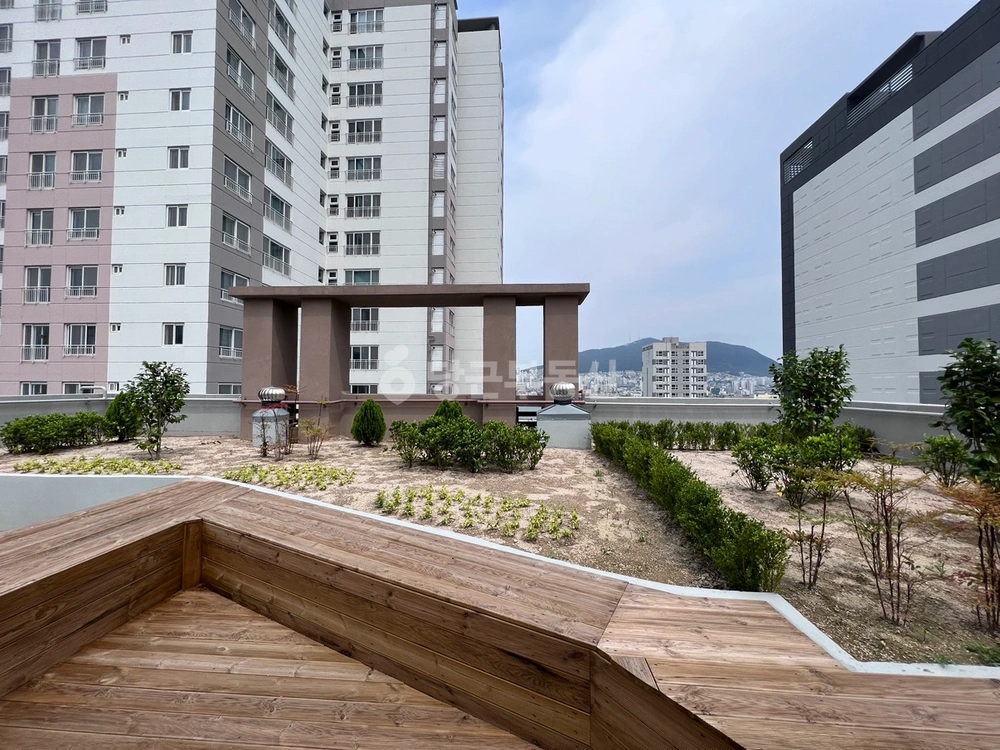부산광역시 서구 충무동2가 오피스텔 사진 1
