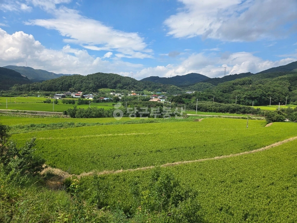 충청남도 공주시 정안면 토지 사진 1