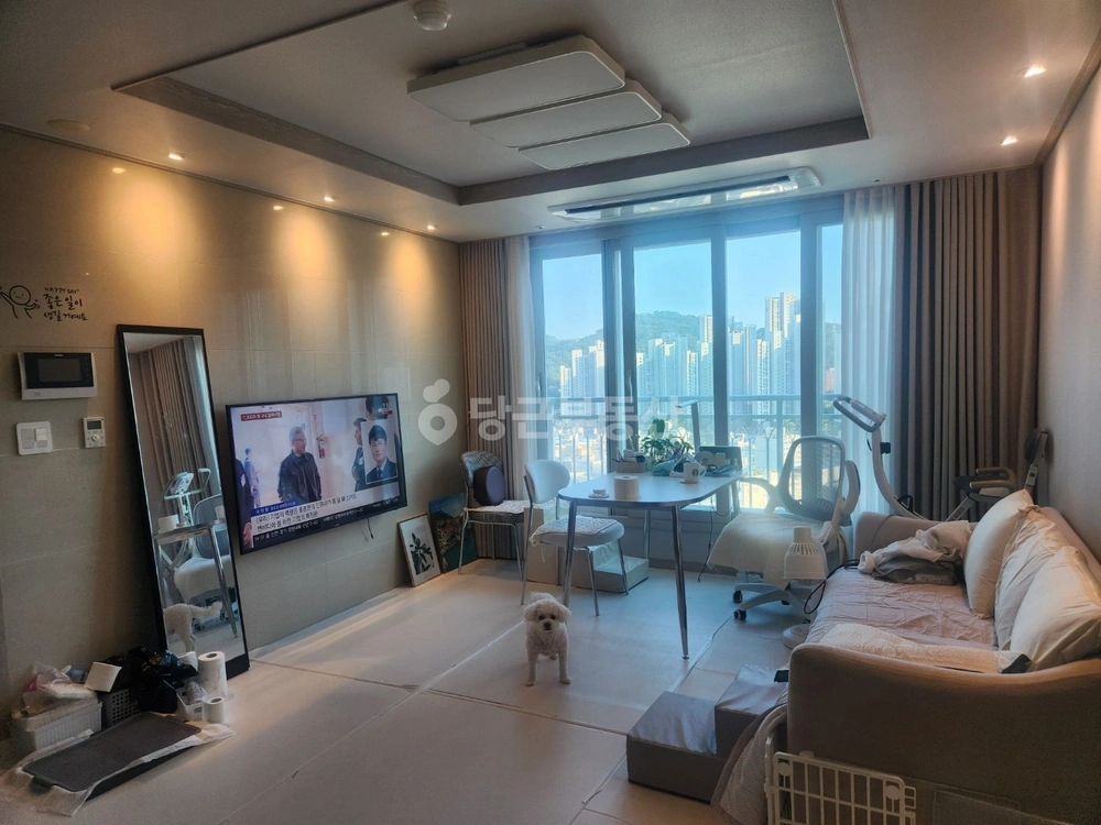 부산광역시 사하구 당리동 아파트 사진 1