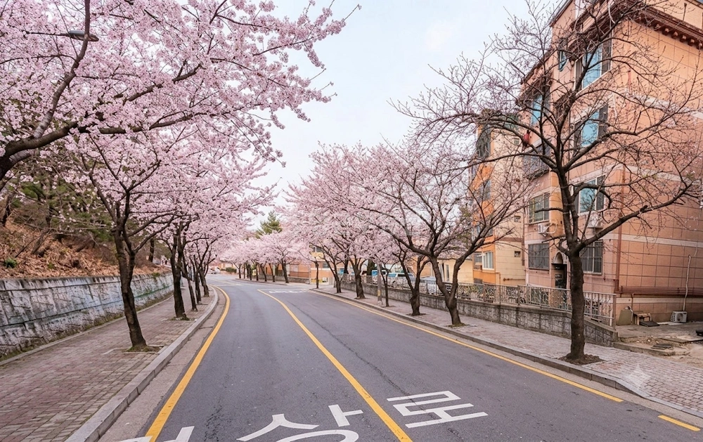 경기도 고양시 덕양구 주교동 원룸 사진 1