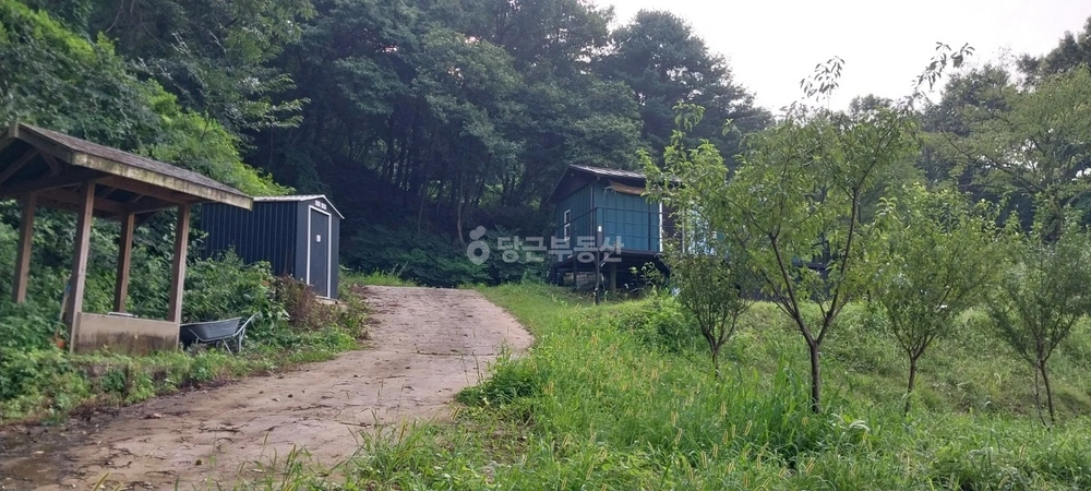 충청북도 음성군 생극면 토지 사진 1