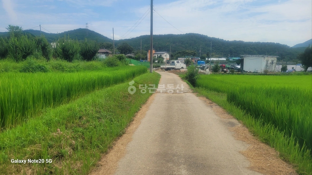 부산광역시 기장군 철마면 토지 사진 1