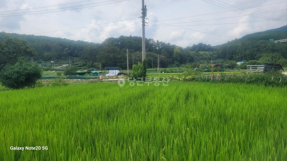 부산광역시 기장군 철마면 토지 사진 1