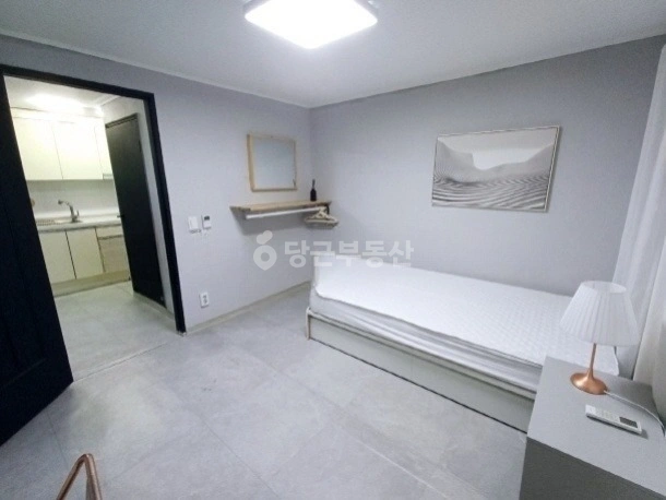 서울특별시 강남구 도곡동 원룸 사진 1