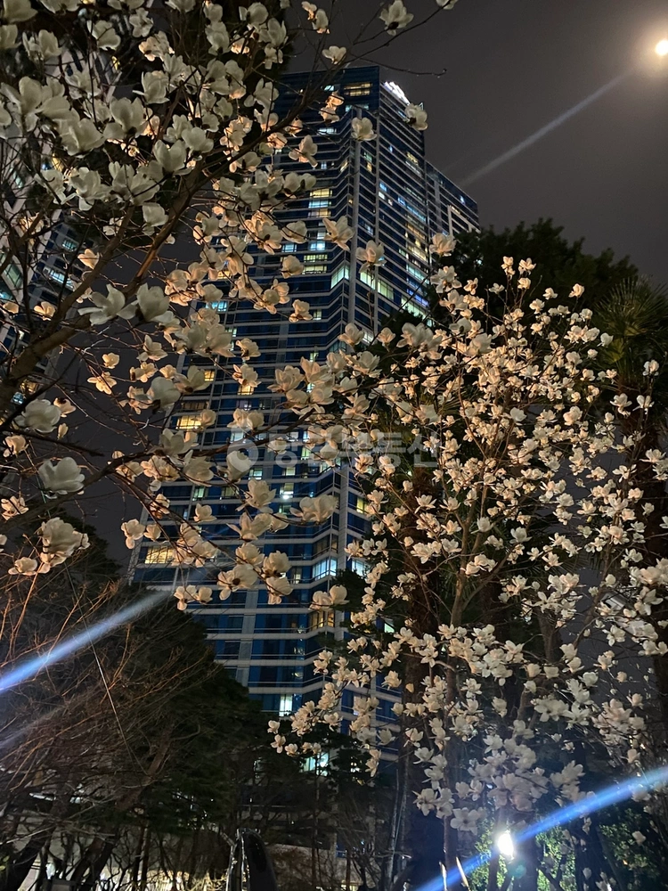 부산광역시 부산진구 부전동 오피스텔 사진 1