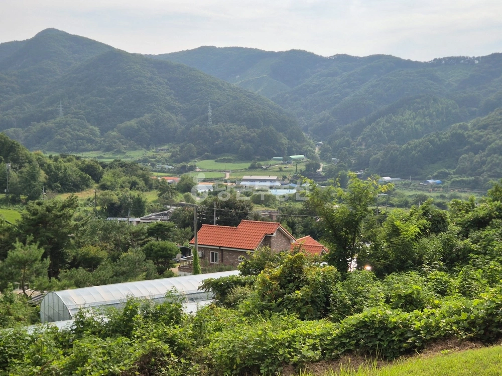 충청남도 금산군 추부면 토지 사진 1