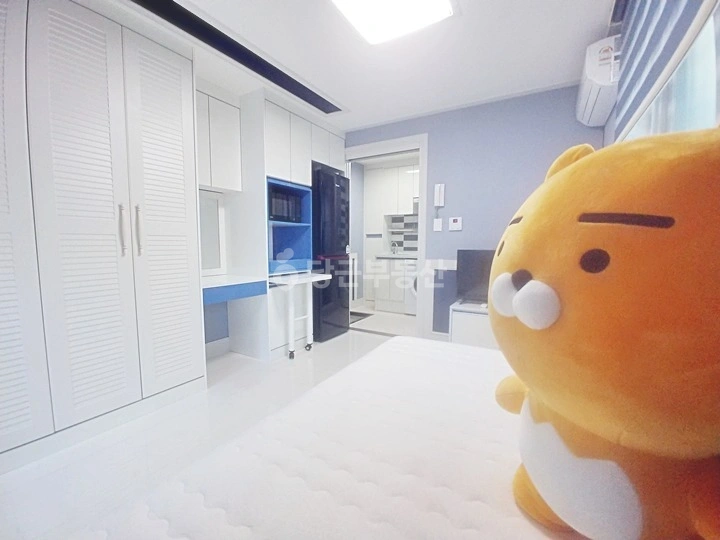 대전광역시 서구 괴정동 원룸 사진 1