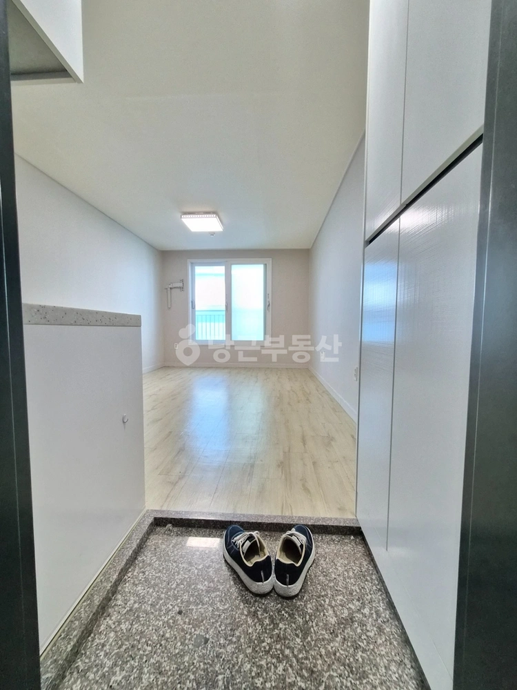 경기도 수원시 권선구 세류동 원룸 사진 1