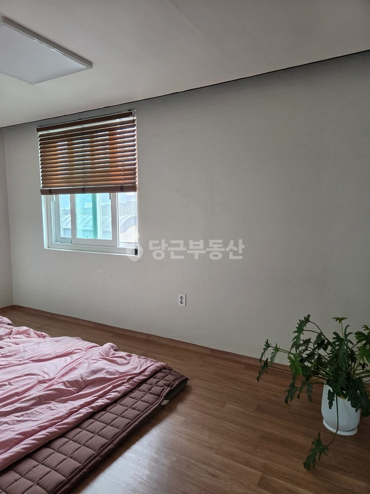 경기도 안성시 서인동 단독/전원주택 사진 1