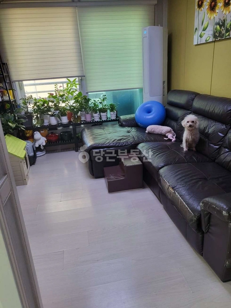 경기도 안양시 만안구 안양동 빌라(투룸 이상) 사진 1
