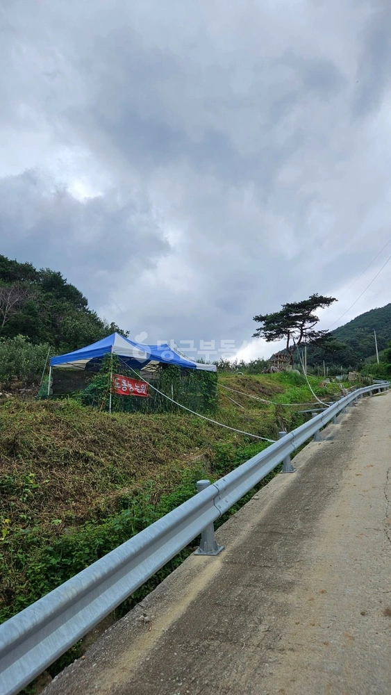 경상북도 영주시 봉현면 토지 사진 1