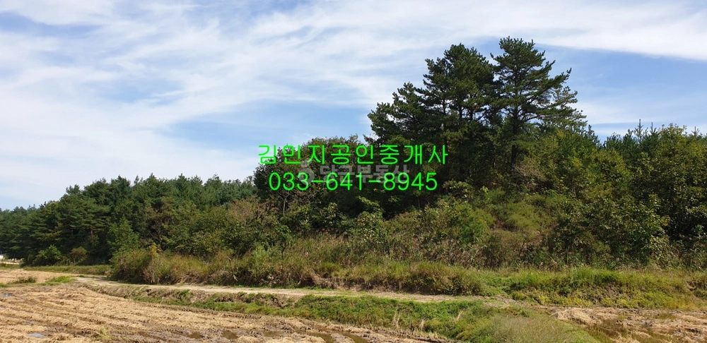 강원특별자치도 강릉시 사천면 토지 사진 1