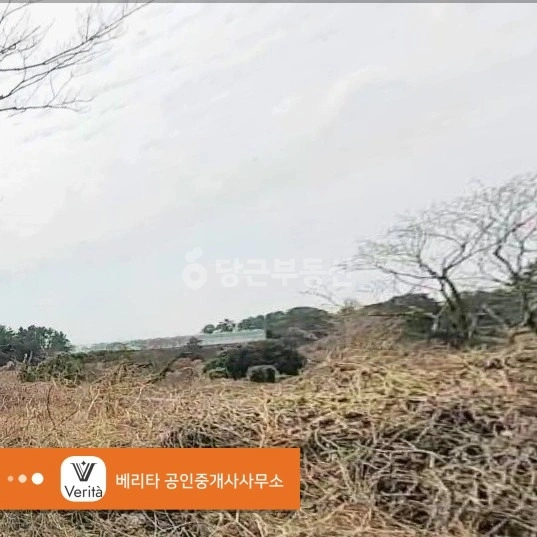 제주특별자치도 제주시 애월읍 토지 사진 1