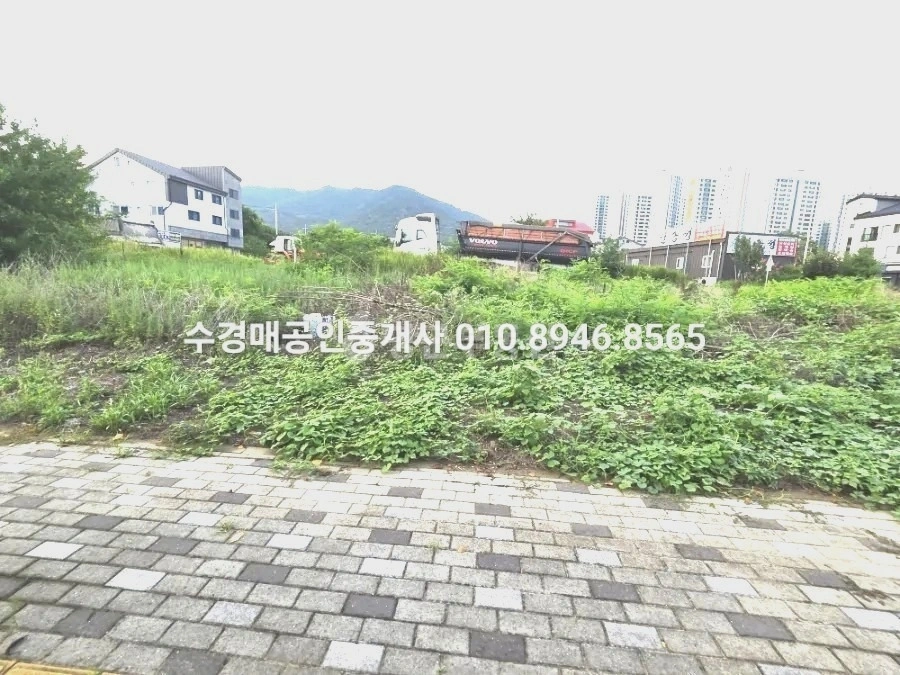 대구광역시 달성군 구지면 토지 사진 1