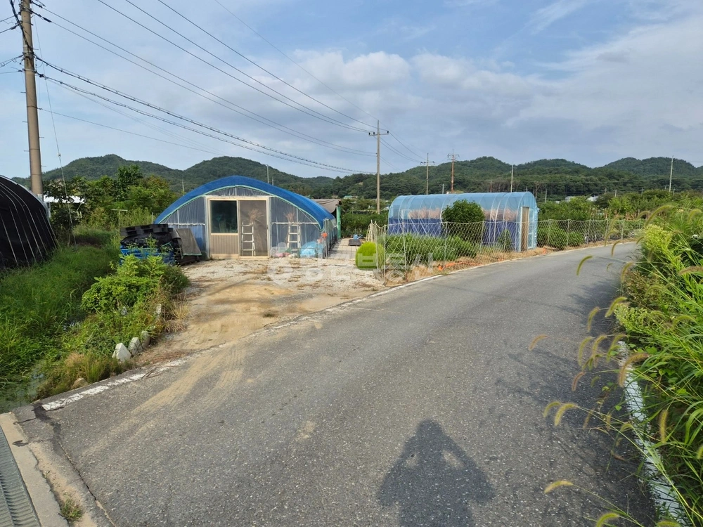대전광역시 서구 괴곡동 토지 사진 1