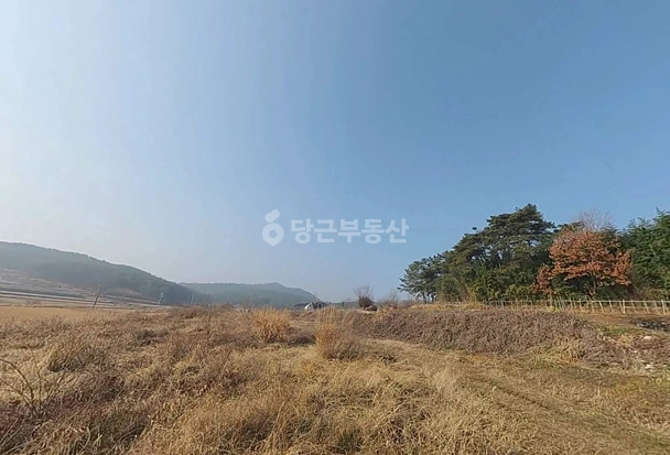 전남광주통합특별시 영광군 군남면 토지 사진 1