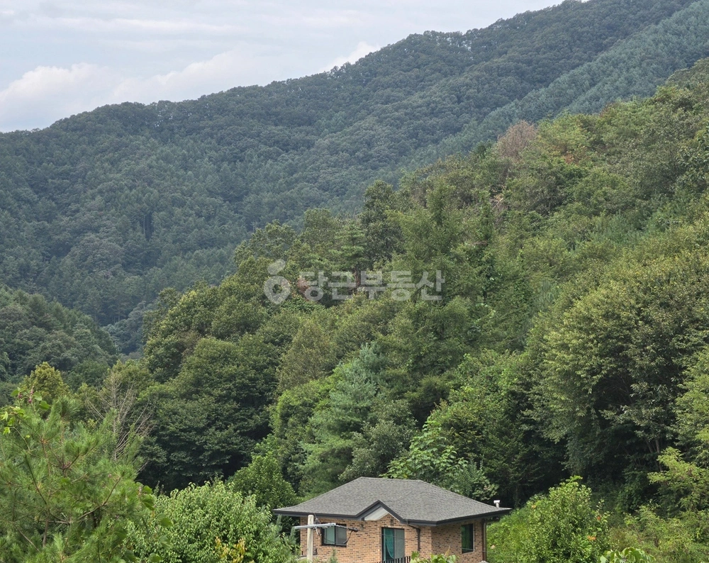 경기도 양평군 양동면 토지 사진 1