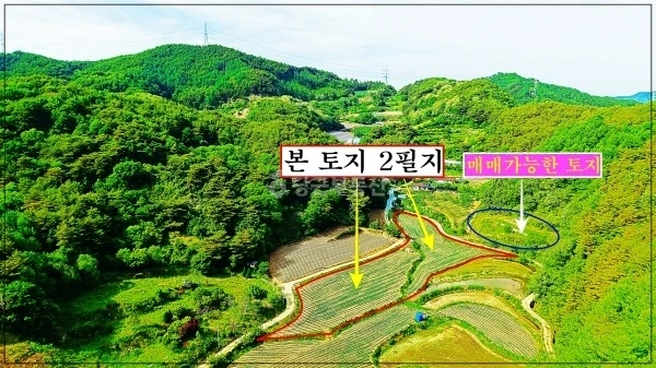 경상북도 봉화군 명호면 토지 사진 1