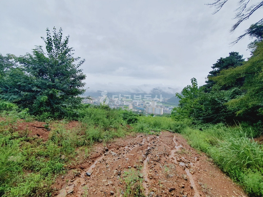 경상북도 청도군 청도읍 토지 사진 1