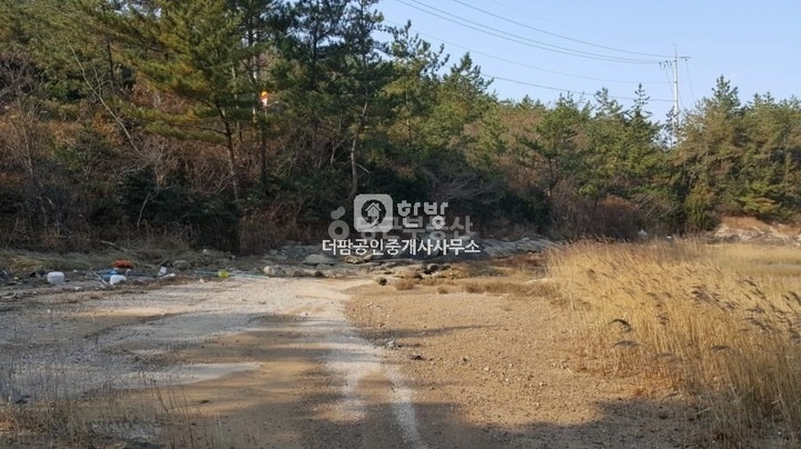 전남광주통합특별시 신안군 증도면 토지 사진 1