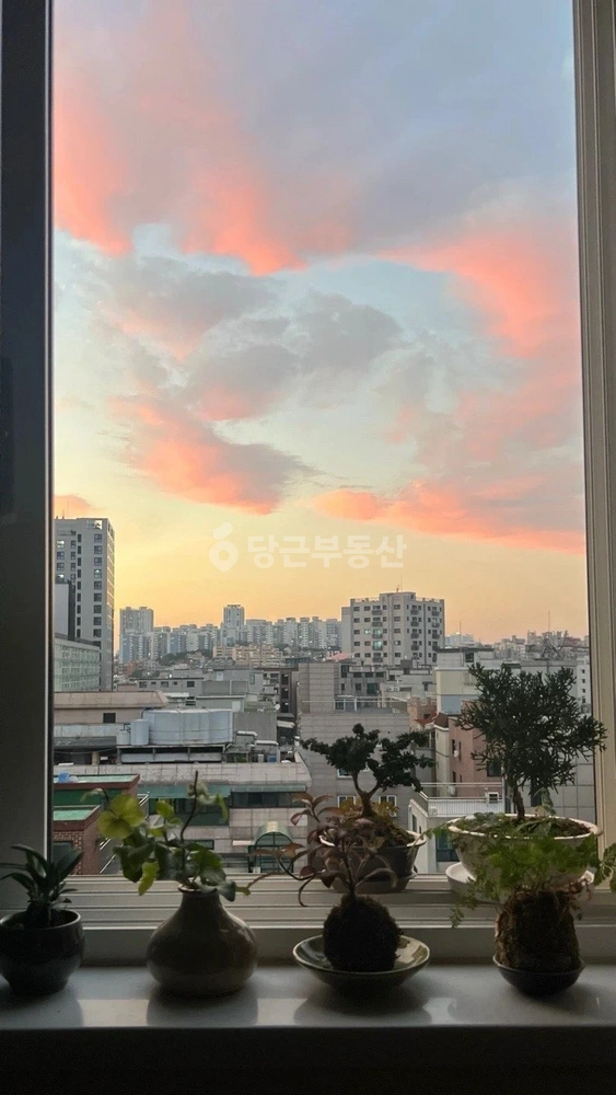 서울특별시 관악구 신림동 원룸 사진 1