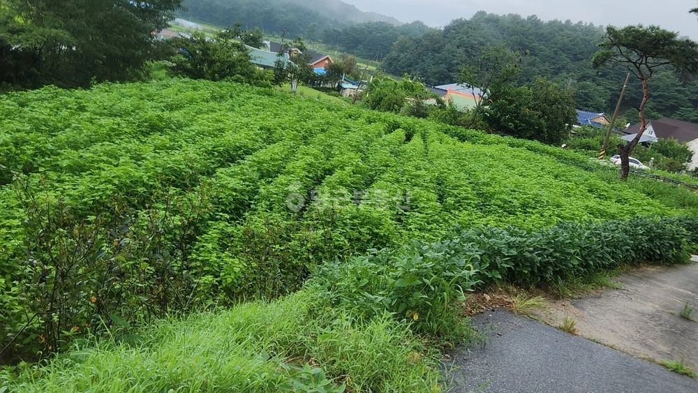 전북특별자치도 남원시 보절면 토지 사진 1