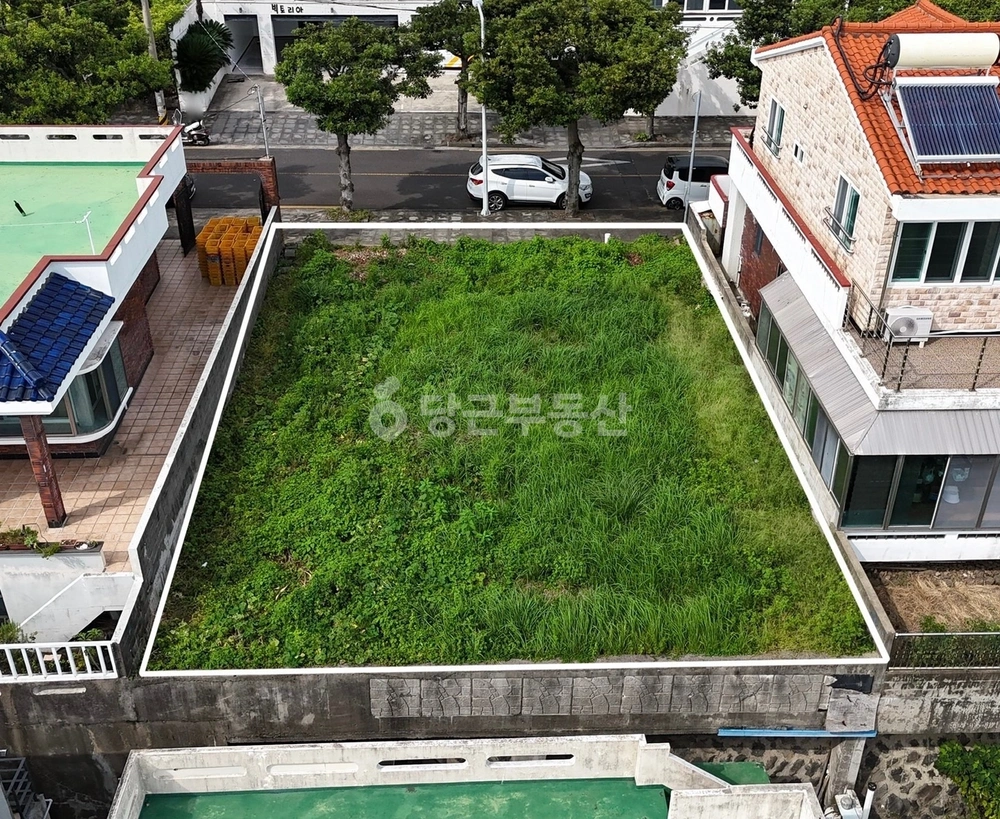 제주특별자치도 서귀포시 강정동 토지 사진 1