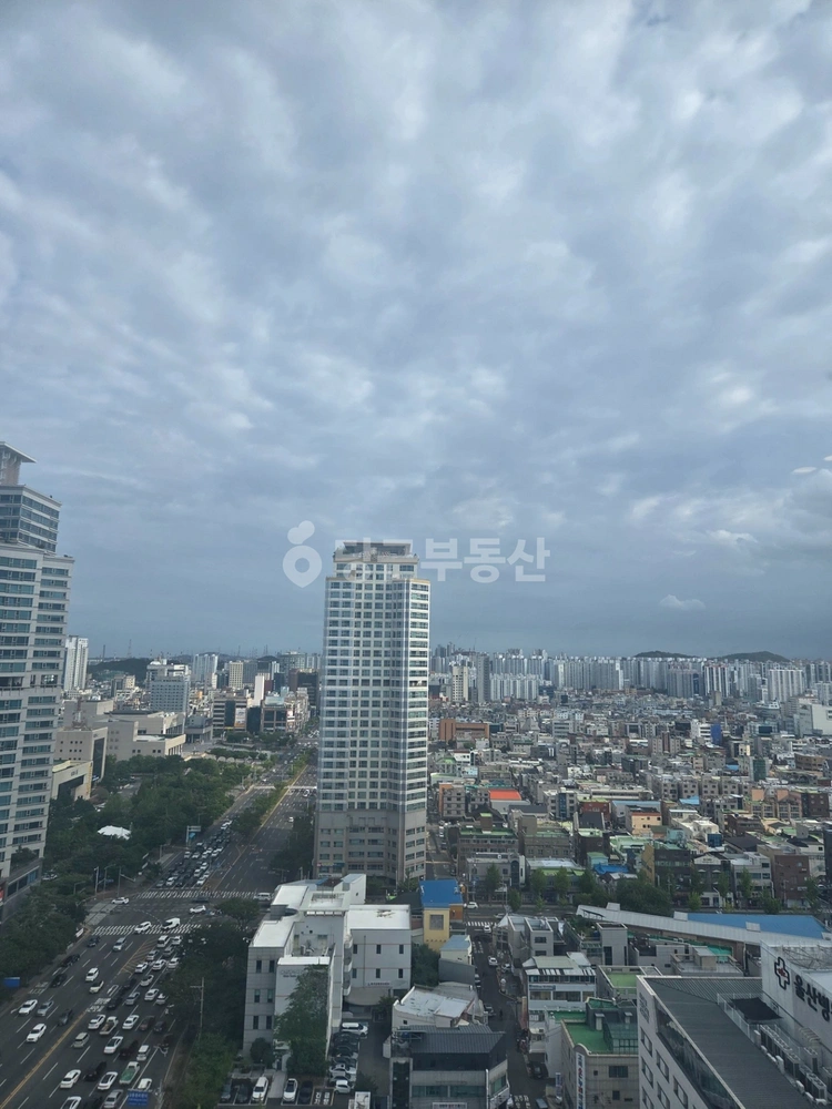 울산광역시 남구 신정동 아파트 사진 1