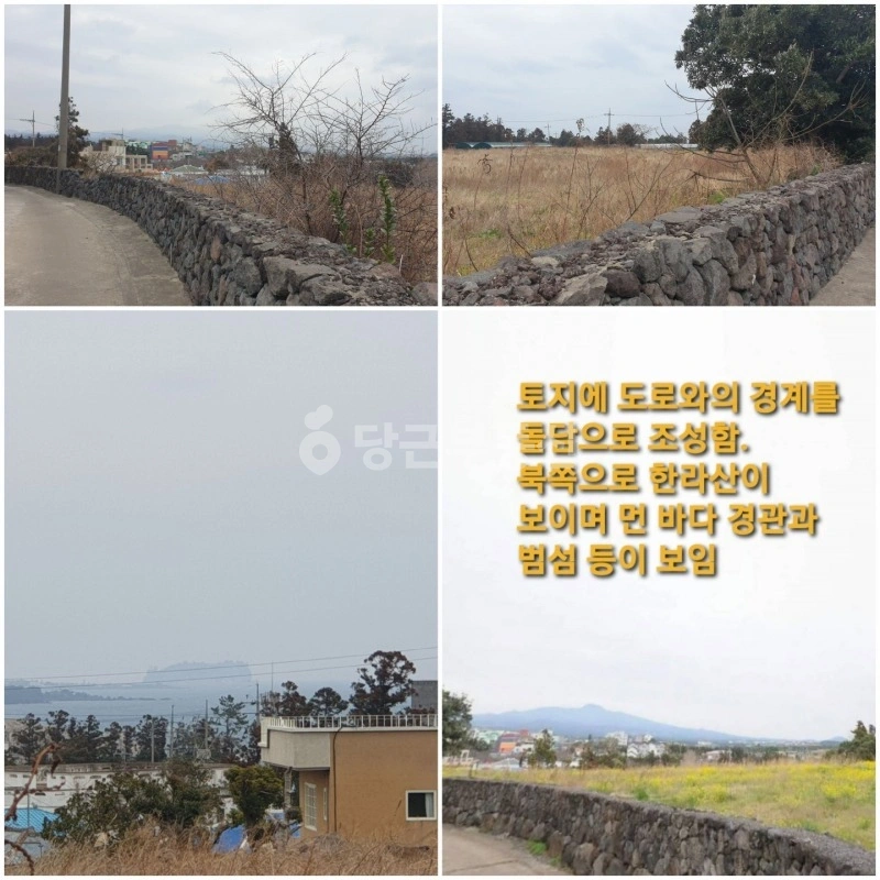 제주특별자치도 서귀포시 하예동 토지 사진 1
