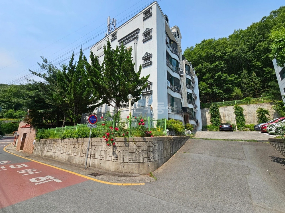 대구광역시 수성구 파동 빌라(투룸 이상) 사진 1