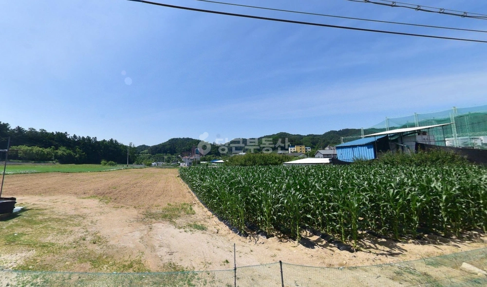 충청북도 제천시 신월동 토지 사진 1