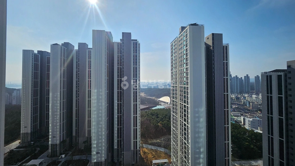 경상북도 포항시 북구 양덕동 아파트 사진 1