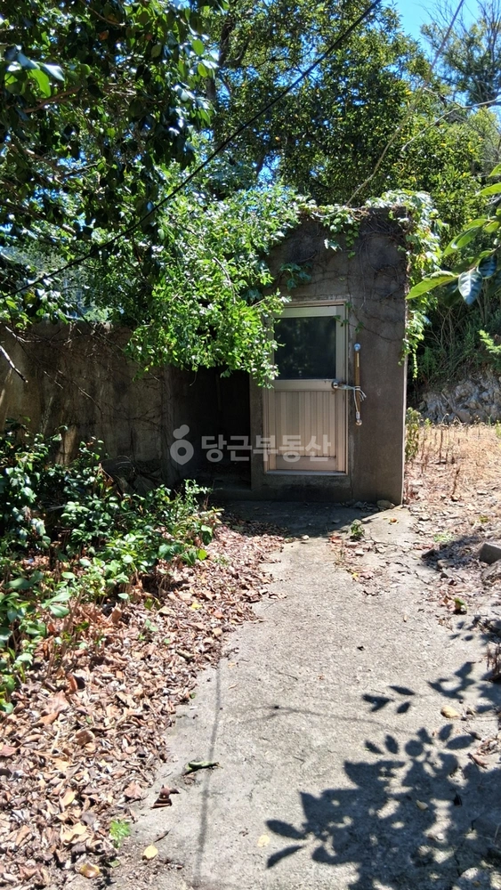 전남광주통합특별시 진도군 임회면 토지 사진 1