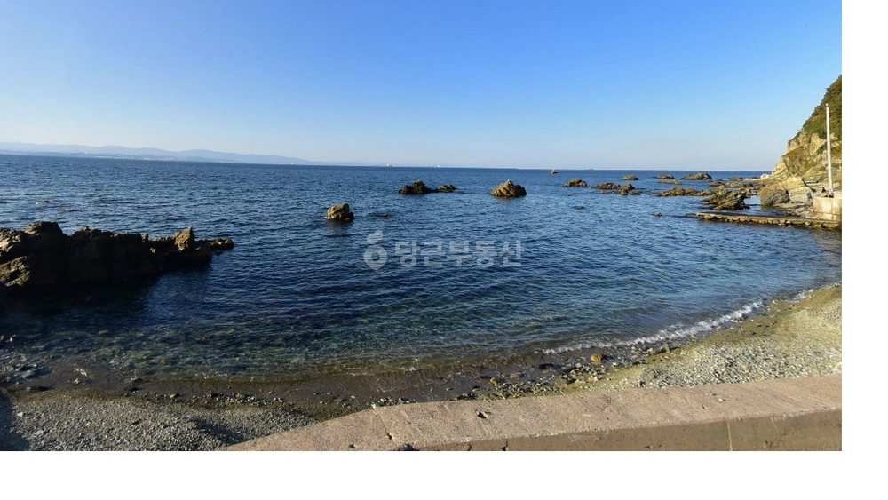 경상북도 포항시 남구 동해면 토지 사진 1