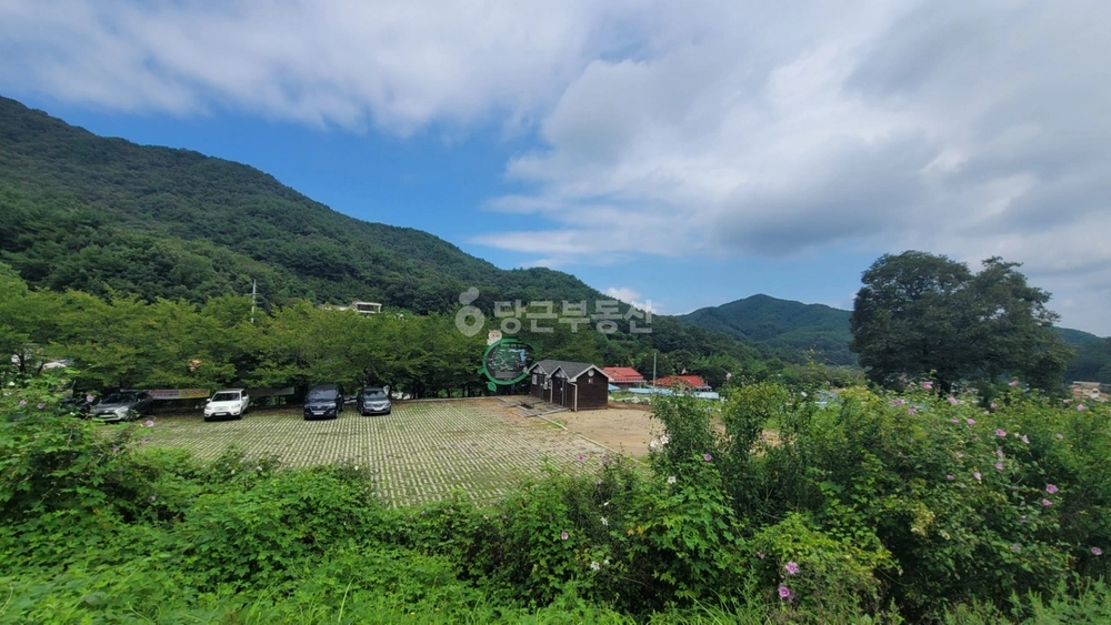충청남도 아산시 송악면 단독/전원주택 사진 1