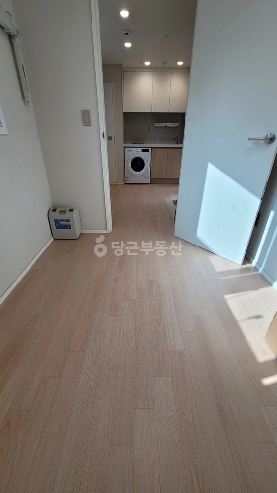 서울특별시 마포구 도화동 원룸 사진 1