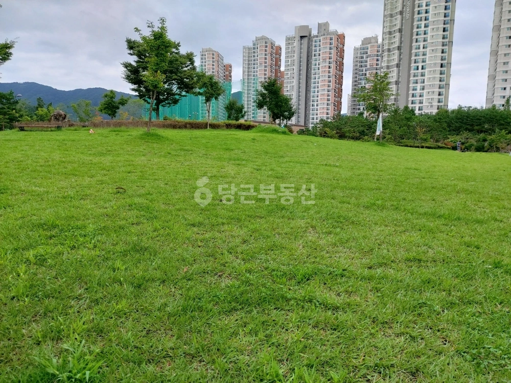 충청북도 청주시 상당구 용정동 아파트 사진 1
