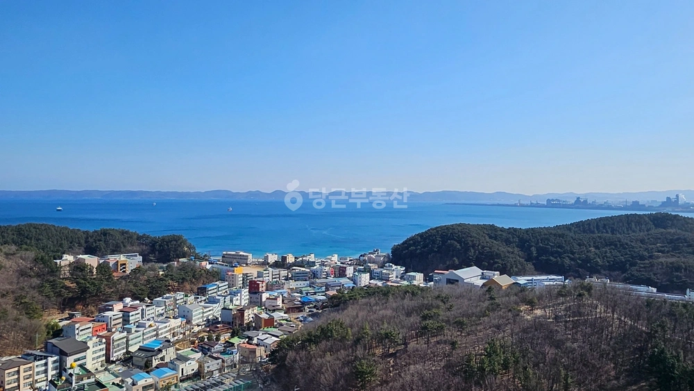 경상북도 포항시 북구 양덕동 아파트 사진 1
