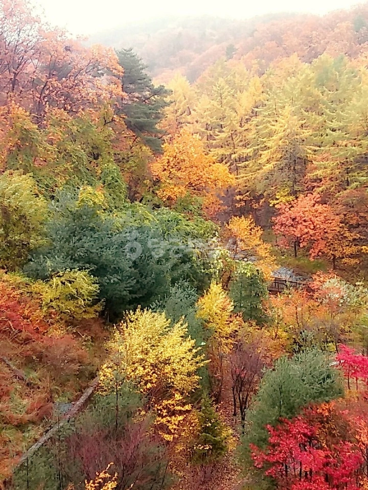 경기도 남양주시 평내동 아파트 사진 1