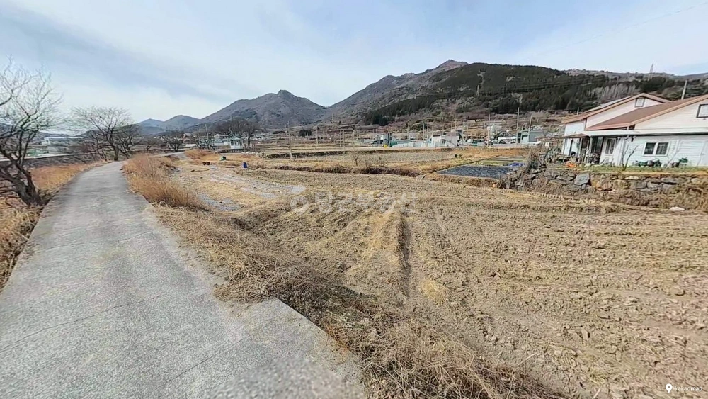 전남광주통합특별시 여수시 상암동 토지 사진 1