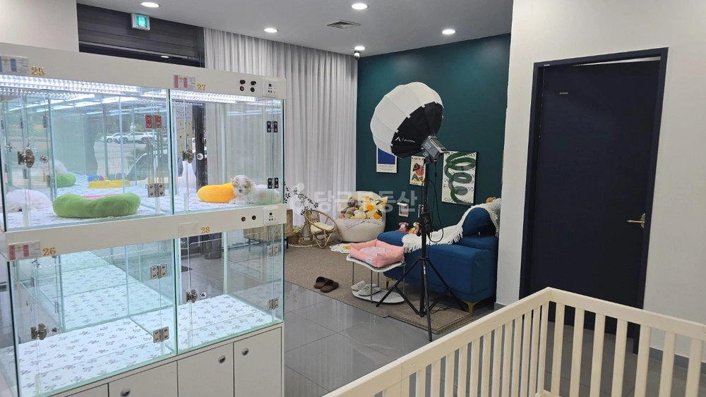경기도 고양시 일산동구 식사동 상가 사진 1