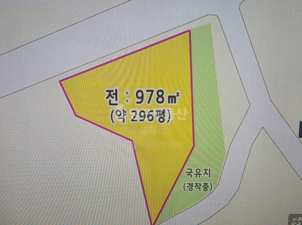 제주특별자치도 서귀포시 성산읍 토지 사진 1