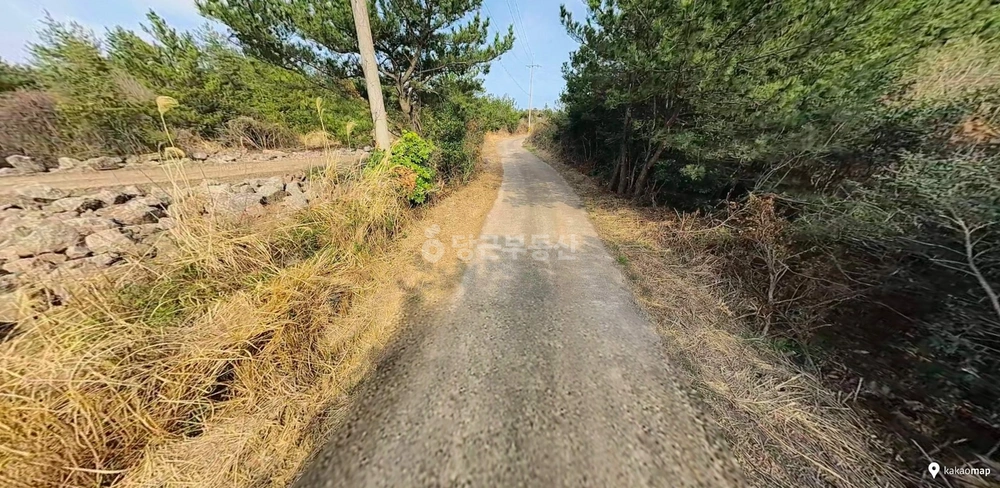 제주특별자치도 서귀포시 표선면 토지 사진 1