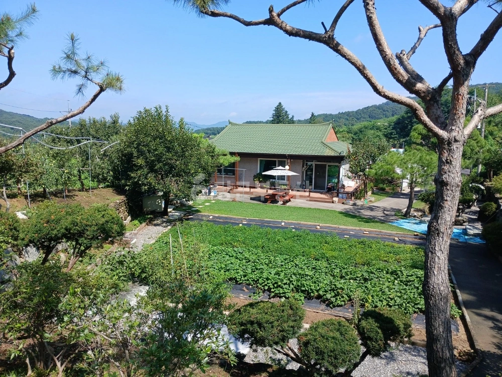 경기도 안성시 사곡동 단독/전원주택 사진 1
