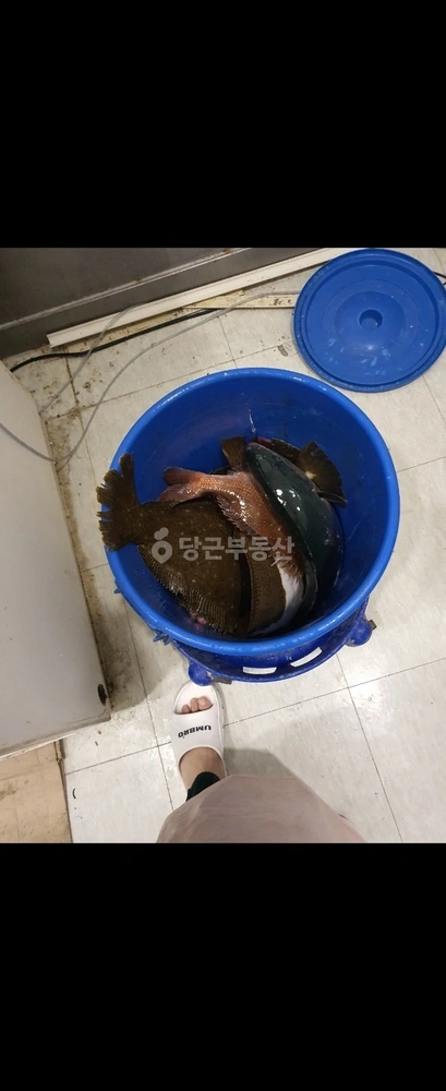 대구광역시 달서구 두류동 상가 사진 1